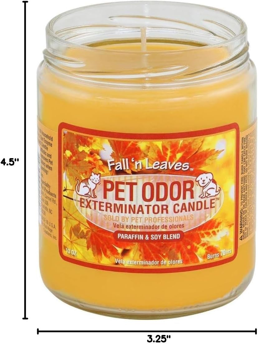 Candle, Fall 'N Leaves - Pack of 2