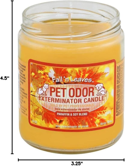 Candle, Fall 'N Leaves - Pack of 2