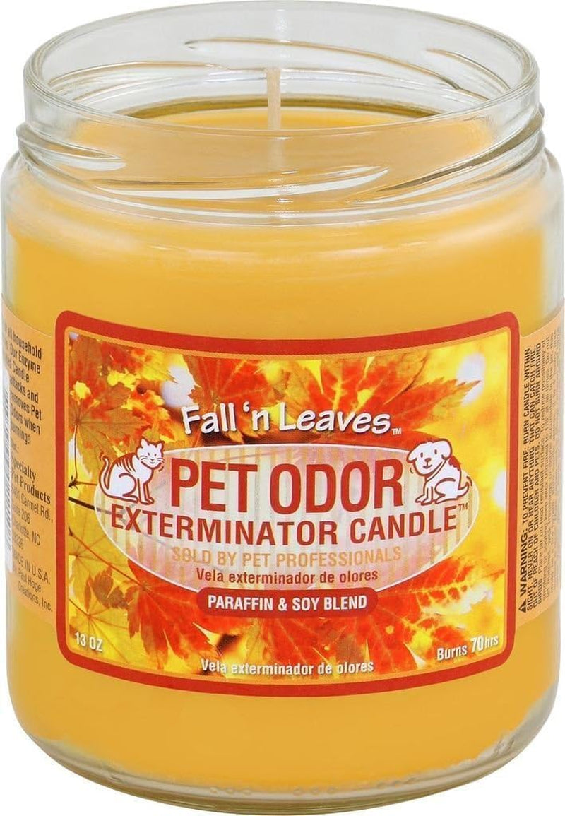 Candle, Fall 'N Leaves - Pack of 2