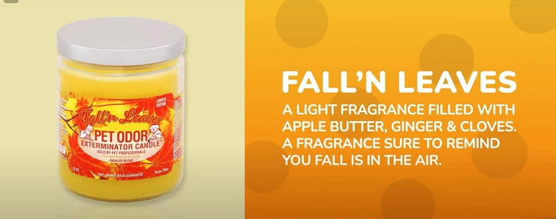 Candle, Fall 'N Leaves - Pack of 2