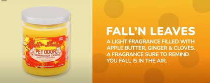 Candle, Fall 'N Leaves - Pack of 2