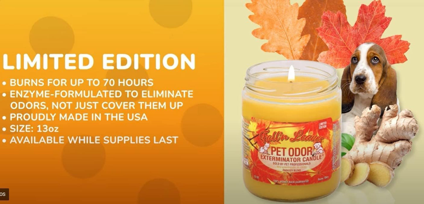 Candle, Fall 'N Leaves - Pack of 2