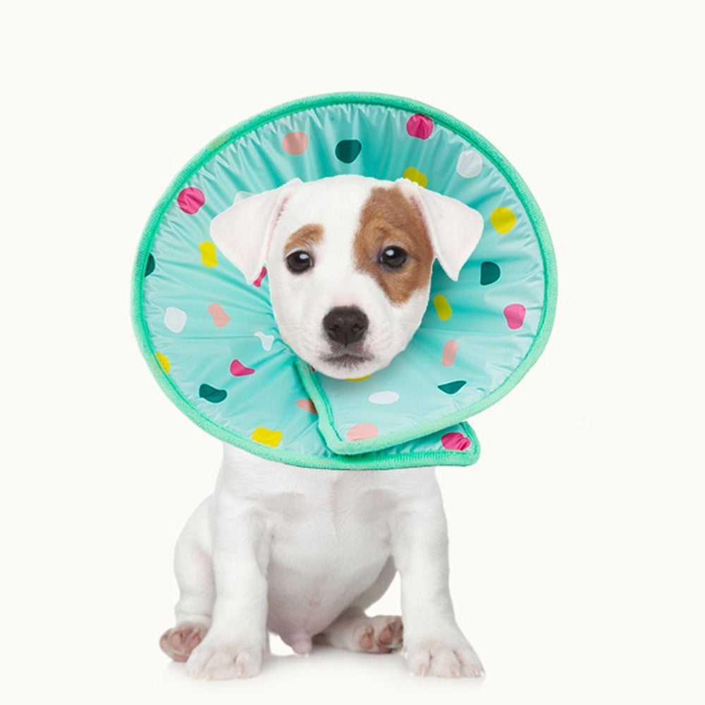 Anti Lick and Scratch Protection Ring for Pet Products